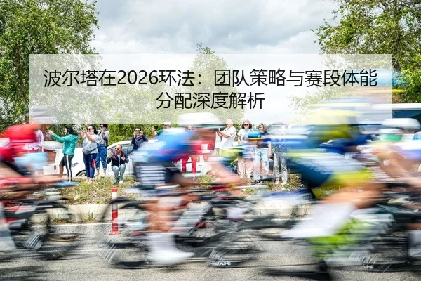 bo-er-ta-zai-huan-fa-tuan-dui-ce-lve-yu-sai-duan-ti-neng-fen-pei-shen-du-jie-xi-2-450.jpg